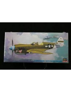 P-40N Warhawk 'Campaña del Pacífico Sur'