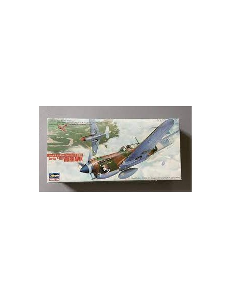 Curtiss P-40N Warhawk
