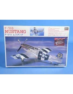 P-51D Mustang (painted canopy included)