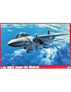 F-14A Tomcat `Atlantic Fleet Squadrons`