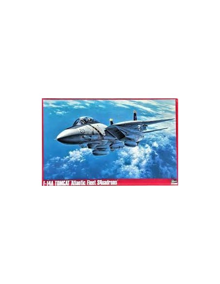 F-14A Tomcat `Atlantic Fleet Squadrons`