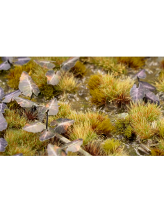 LASER PLANTS - BLACK MAGIC TARO