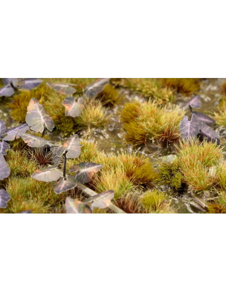 LASER PLANTS - BLACK MAGIC TARO