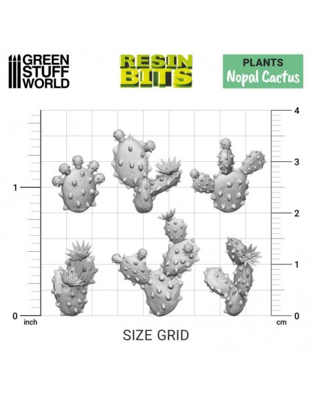 CACTUS NOPAL 3D