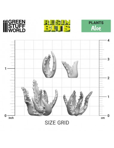 ALOE VERA 3D