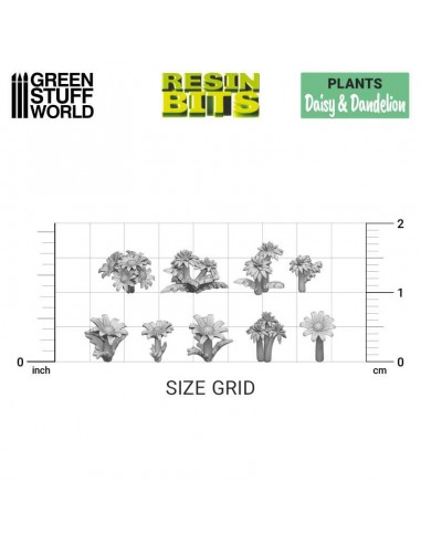 MARGARITA Y DIENTE DE LEÓN 3D