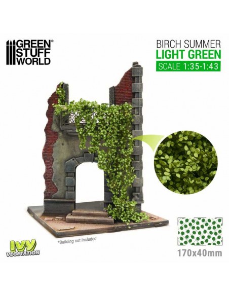 HIEDRA MODELISMO - ABEDUL VERDE CLARO – GRANDE