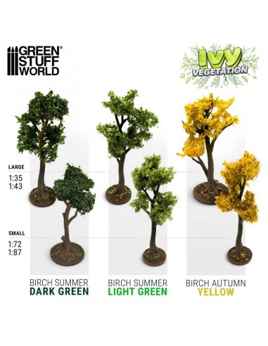 HIEDRA MODELISMO - ABEDUL VERDE CLARO – GRANDE