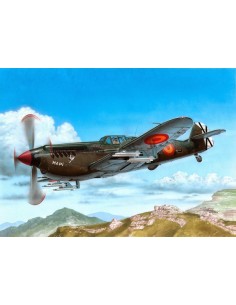 HA-1112 M-1L Buchón "Ejército del Aire"