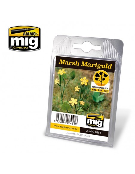 CALÉNDULA DE PANTANO