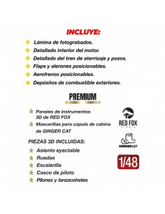 MIG-17F Egipto-Siria (Edición Premium) 2