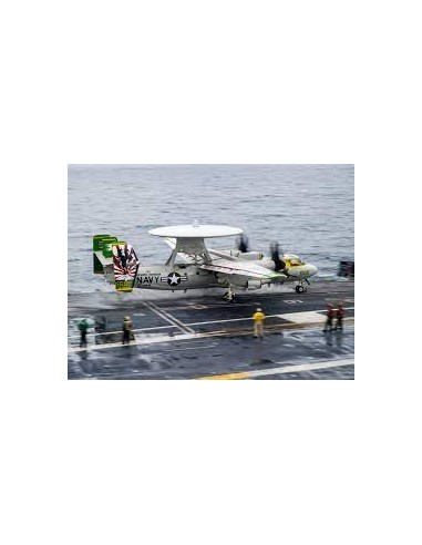 E-2C HAWKEYE 2000 VAW-123 Screwtop