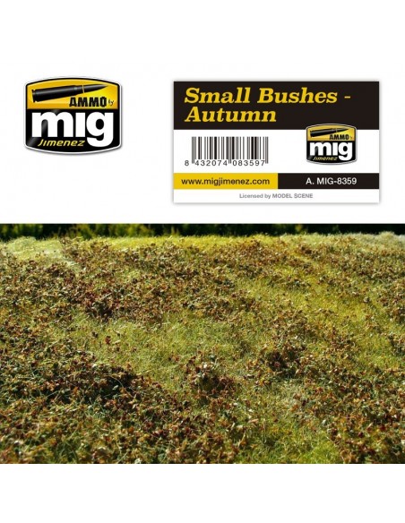 ARBUSTOS PEQUEÑOS - OTOÑO