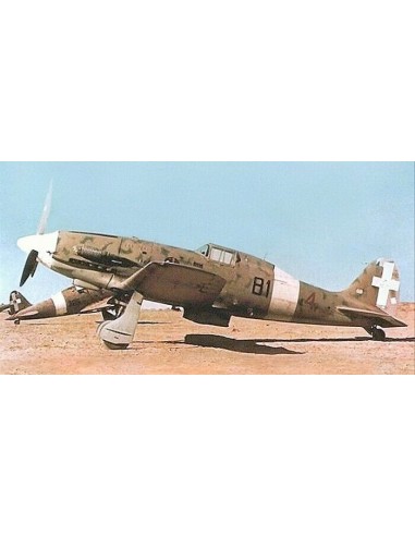 Macchi MC.202 Folgore 370 Squadriglia, Italy 1943