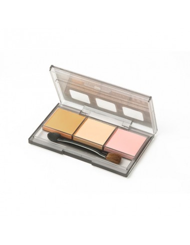 PALETA DE PASTELES G FIG.2