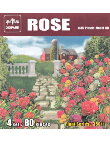 SET DE ROSAS (80 PLANTAS)