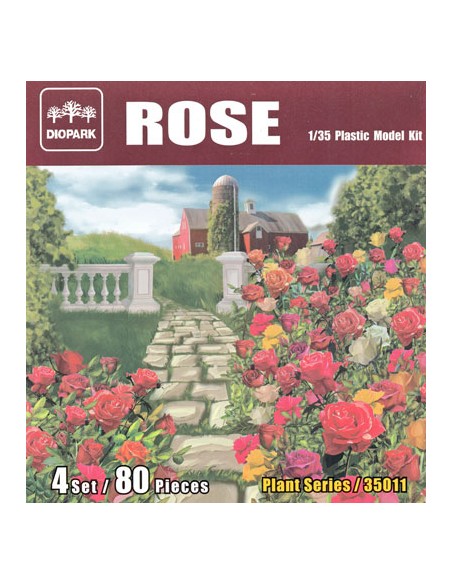 SET DE ROSAS (80 PLANTAS)