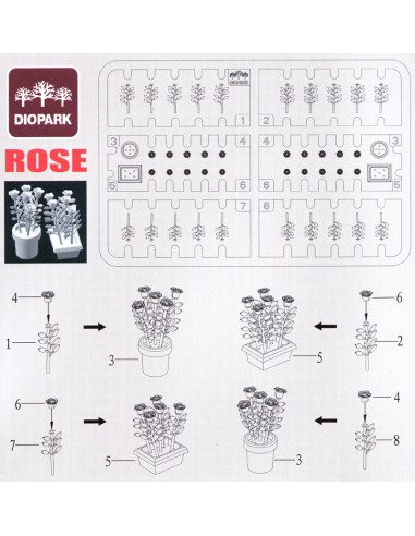 SET DE ROSAS (80 PLANTAS)