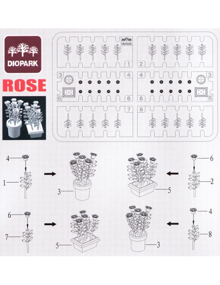SET DE ROSAS (80 PLANTAS)