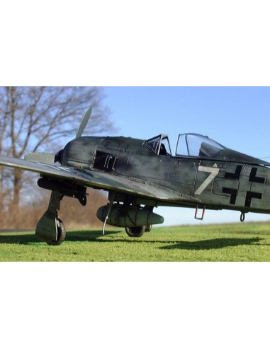 Focke-Wulf Fw190 F-8