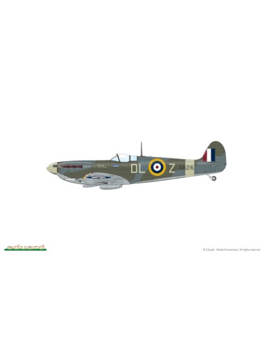 Spitfire Mk.Vc - The Weekend Edition