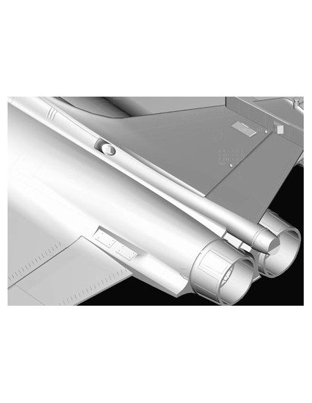 French Dassault Rafale B