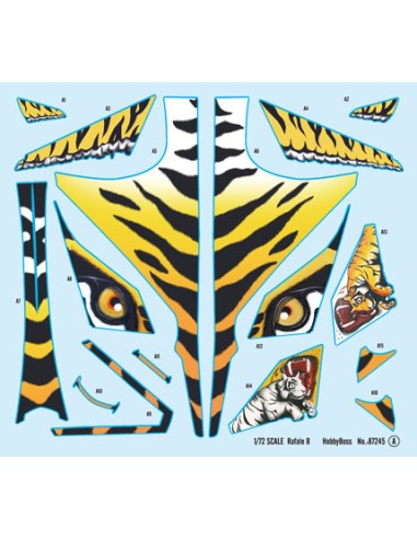 French Dassault Rafale B