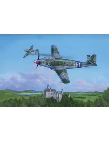 German Messerschmitt Me509