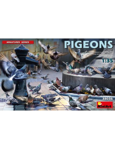 Pigeons