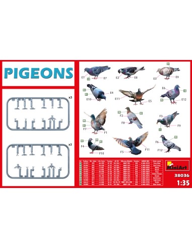 Pigeons