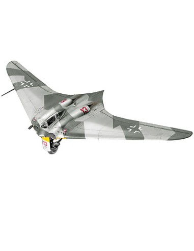 Horten Go-229
