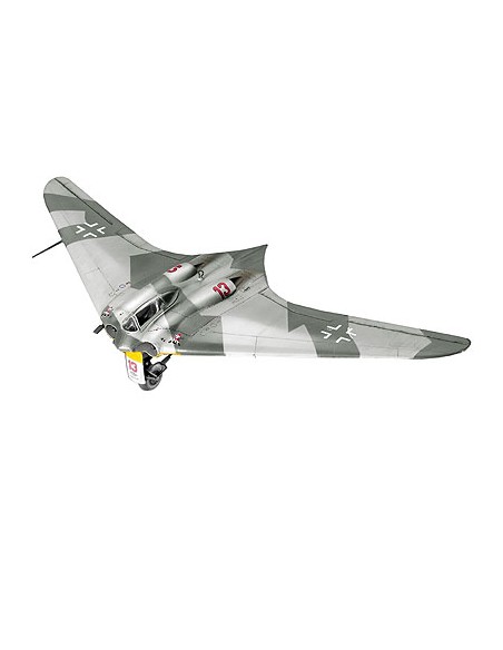 Horten Go-229