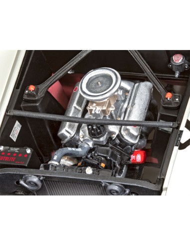 FORD MUSTANG 66 Shelby GT 350 R