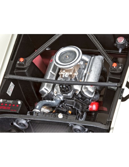 FORD MUSTANG 66 Shelby GT 350 R