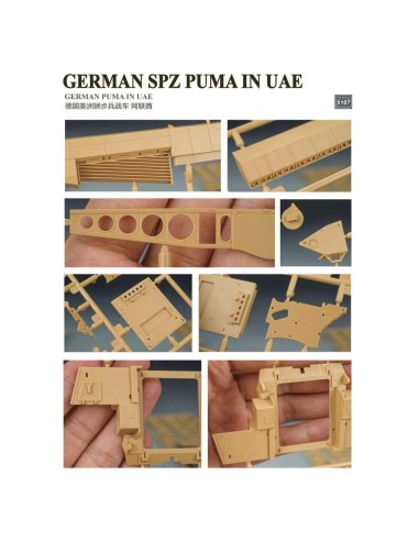 German SPZ Puma In UAE