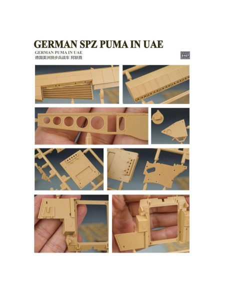 German SPZ Puma In UAE