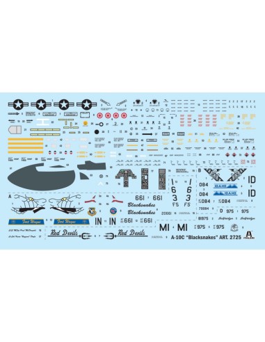 A-10C ''Blacksnackes''