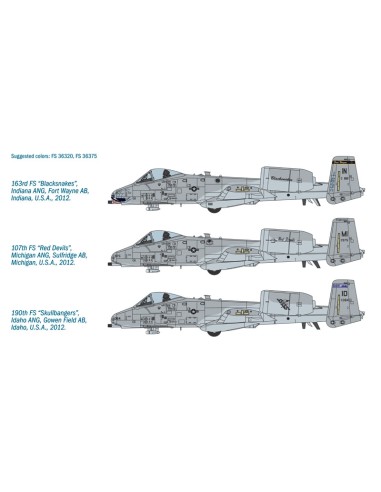 A-10C ''Blacksnackes''