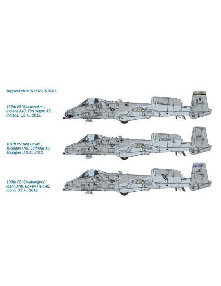 A-10C ''Blacksnackes''