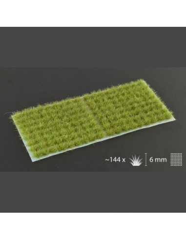 HIERBA VERDE SECO 6 mm