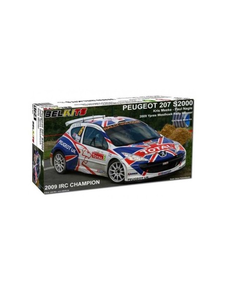 Peugeot 207 S2000 2009 IRC Champion