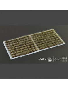 HIERBA QUEMADA 6 mm 2