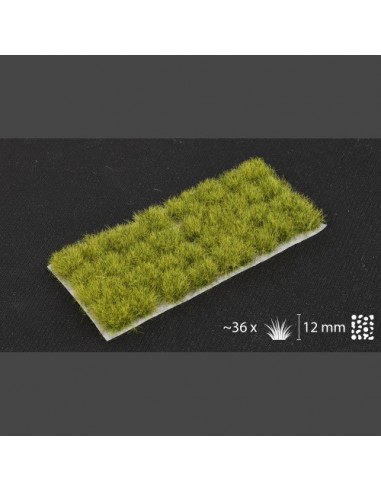 HIERBA DE JUNGLA XL 12 mm