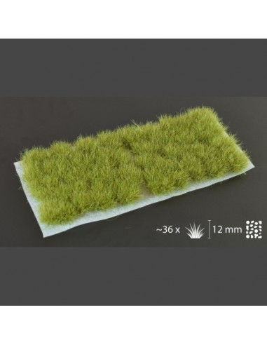 HIERBA XL VERDE SECO 12 mm