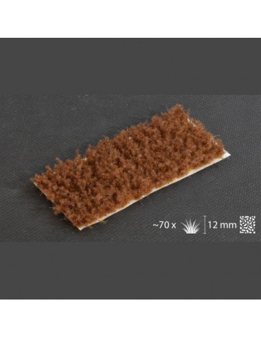 HIERBA ESPINOSA MARRÓN 12 mm