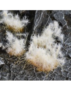 HIERBA ESPINOSA INVIERNO 12 mm