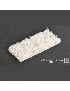 HIERBA ESPINOSA INVIERNO 12 mm 2