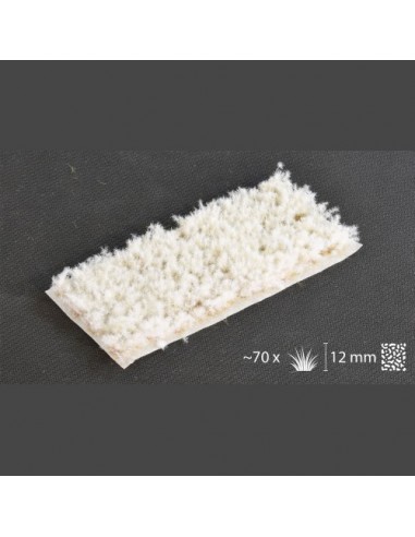 HIERBA ESPINOSA INVIERNO 12 mm