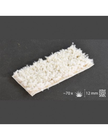 HIERBA ESPINOSA INVIERNO 12 mm