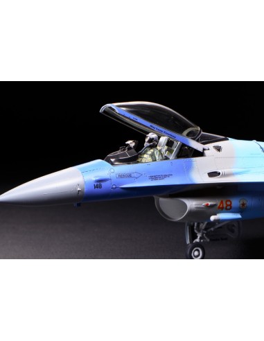 F-16C/N Aggressor/Adversary